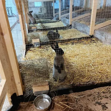 Auf Hof Santangelo Appartement