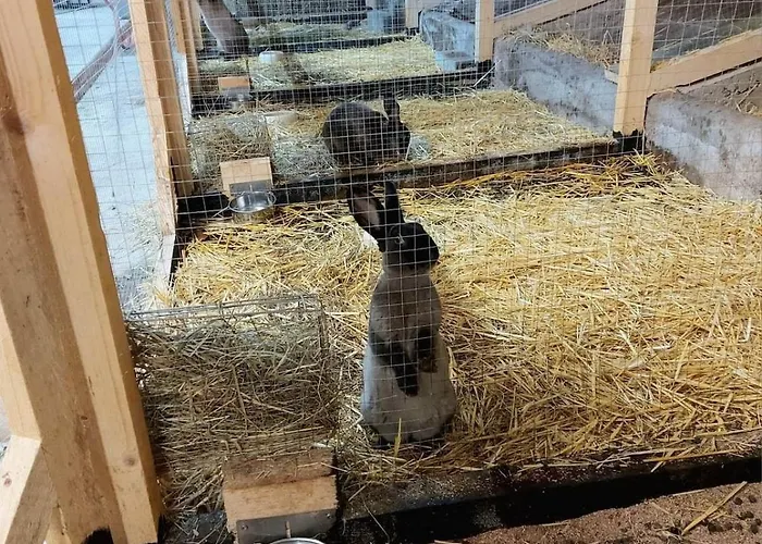 Auf Hof Santangelo Apartamento